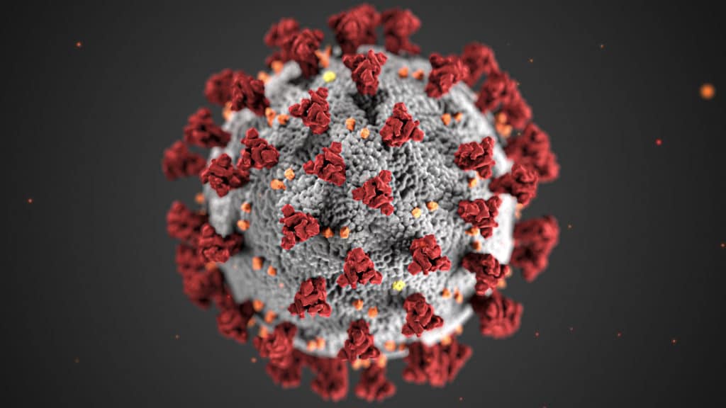 За сутки в Краснодаре выявили 26 случаев коронавируса