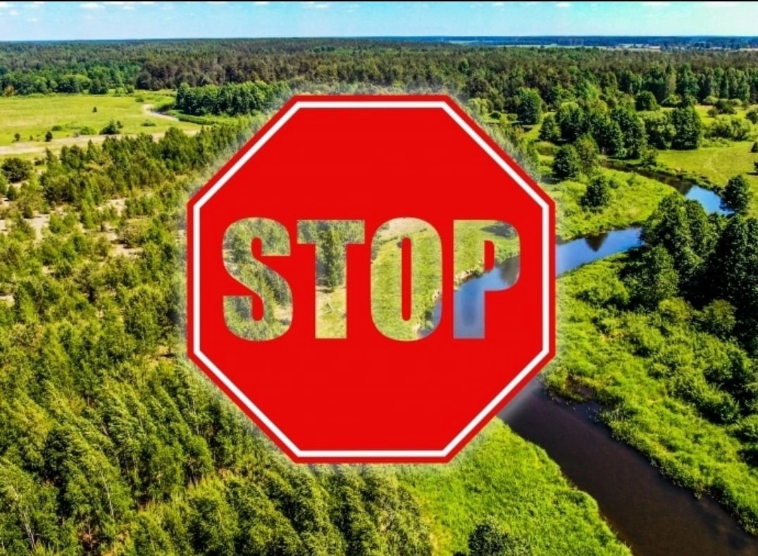 В Краснодарском крае возобновили запрет на посещение лесов