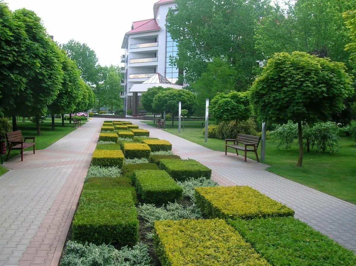 В Краснодаре планируется высадить 1000 декоративных деревьев