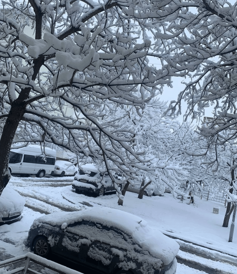 Мэрия Краснодара рассказала, кто должен убирать снег