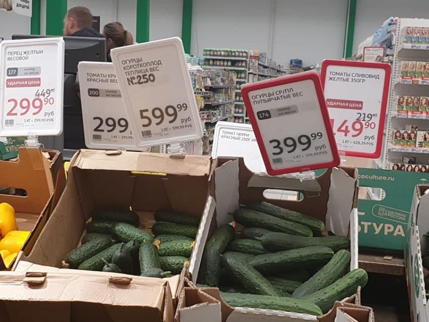 Цены на огурцы в Краснодаре выше чем на мясо